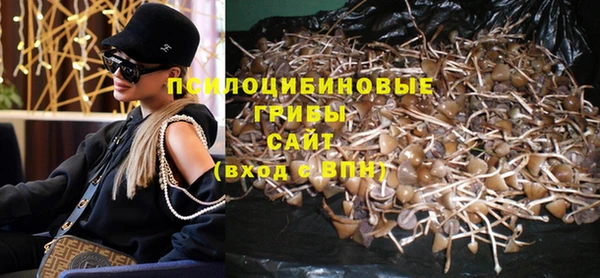 стаф Волоколамск